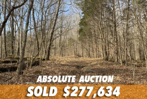 ABSOLUTE LAND AUCTION • 135 Haze Hyde Hollow Road, Bethpage TN 37022 • TUESDAY, NOV. 15TH @ 11:00AM